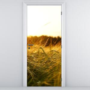 Fototapeta na drzwi - Rosa na trawie (95x205cm)