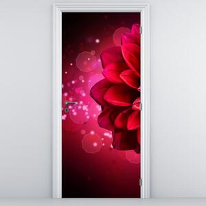 Fototapeta na drzwi - Czerwony kwiat (95x205cm)