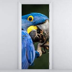 Fototapeta na drzwi - Papuga (95x205cm)