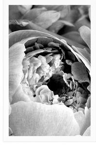 Plakat czarno-białe płatki kwiatów