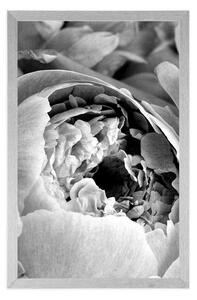 Plakat czarno-białe płatki kwiatów