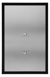Plakat ptak we mgle w czerni i bieli