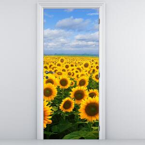 Fototapeta na drzwi - Pole słoneczników (95x205cm)