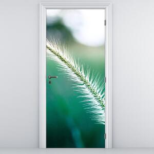 Fototapeta na drzwi - Źdźbło trawy (95x205cm)