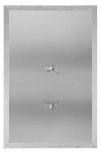 Plakat ptak we mgle w czerni i bieli