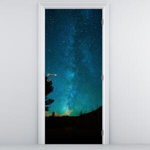 Fototapeta na drzwi - Nocne niebo z gwiazdami (95x205cm)