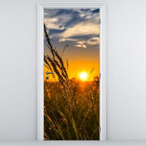 Fototapeta na drzwi - Pole o zachodzie Słońca (95x205cm)