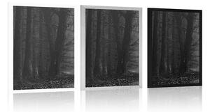 Plakat ścieżka w lesie w czerni i bieli