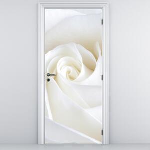 Fototapeta na drzwi - Biała róża (95x205cm)