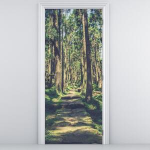 Fototapeta na drzwi - Ścieżka wśród drzew (95x205cm)