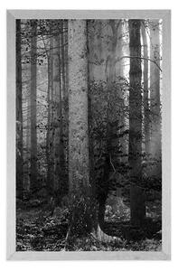 Plakat tajemnica lasu w czerni i bieli