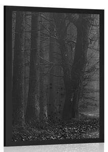 Plakat ścieżka w lesie w czerni i bieli