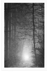 Plakat światło w lesie w czerni i bieli