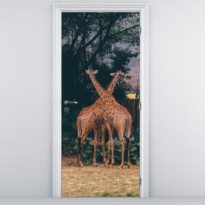Fototapeta na drzwi - Dwie żyrafy (95x205cm)