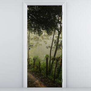 Fototapeta na drzwi - Poranna mgła (95x205cm)