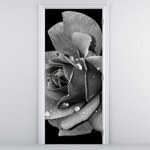 Fototapeta na drzwi - Róża, czarno - biała (95x205cm)