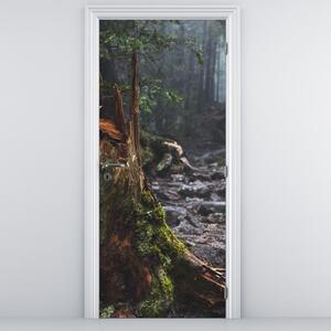 Fototapeta na drzwi - W lesie (95x205cm)