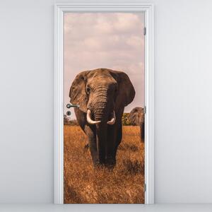 Fototapeta na drzwi - Przybycie słonia (95x205cm)