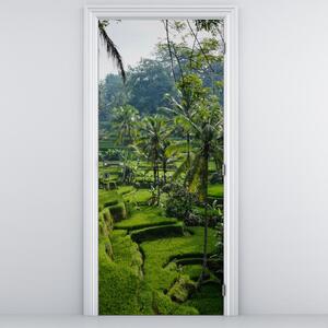 Fototapeta na drzwi - Tarasy ryżowe Tegalalang (95x205cm)