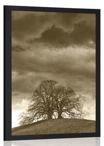 Plakat sepiowe samotne drzewa