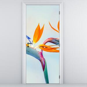 Fototapeta na drzwi - Kwiaty Strelicji (95x205cm)