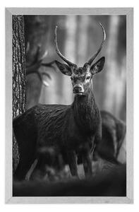 Plakat jeleń w lesie w czerni i bieli