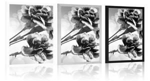 Plakat kwiat goździka w czerni i bieli