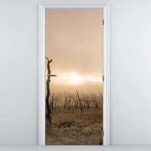 Fototapeta na drzwi - Gołe drzewa (95x205cm)