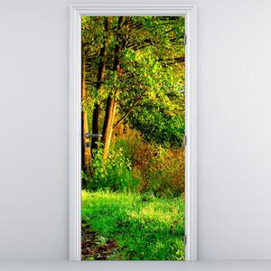 Fototapeta na drzwi - Ścieżka wzdłuż wody (95x205cm)