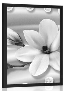 Plakat luksusowa magnolia z perłami w czerni i bieli