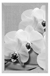 Plakat orchidea na płótnie w czerni i bieli