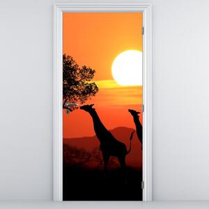 Fototapeta na drzwi - Żyrafy o zachodzie Słońca (95x205cm)