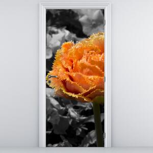 Fototapeta na drzwi - Kwiat (95x205cm)