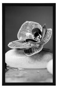 Plakat orchidea i kamienie zen w czerni i bieli