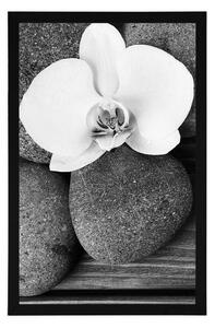 Plakat kamienie wellness i orchidea na drewnianym tle w czerni i bieli
