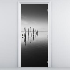 Fototapeta na drzwi - Czarno - biała powierzchnia wody (95x205cm)