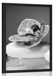 Plakat orchidea i kamienie zen w czerni i bieli