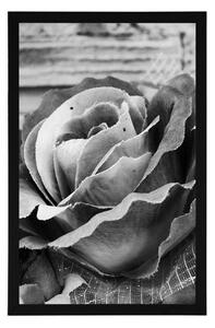 Plakat elegancka róża w stylu vintage w czarno-białym wzornictwie