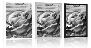 Plakat elegancka róża w stylu vintage w czarno-białym wzornictwie