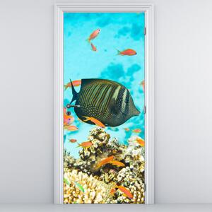 Fototapeta na drzwi - Podwodny świat (95x205cm)
