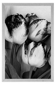 Plakat wiosenne tulipany w czerni i bieli