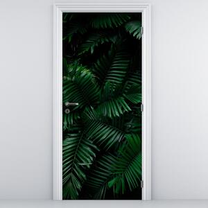 Fototapeta na drzwi - Tropikalna paproć (95x205cm)