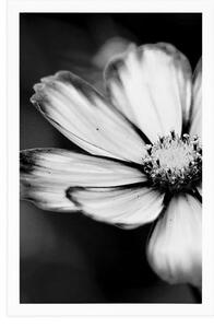 Plakat bajkowy kwiat ogrodowy w czarno-białym wzorze