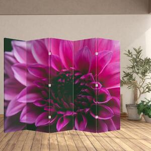 Parawan - Różowy kwiat (210x170 cm)