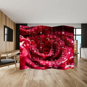 Parawan - Czerwony kwiat róży (210x170 cm)