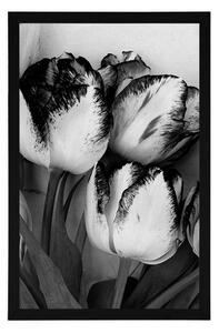 Plakat wiosenne tulipany w czerni i bieli