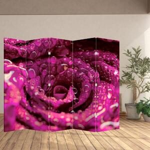 Parawan - Różowy kwiat róży (210x170 cm)