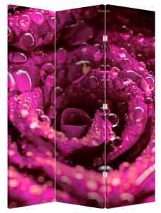 Parawan - Różowy kwiat róży (126x170 cm)