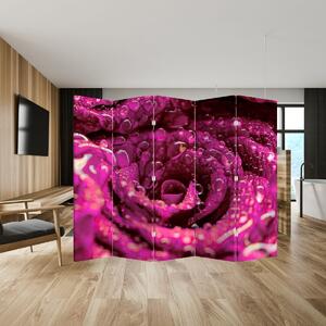 Parawan - Różowy kwiat róży (210x170 cm)