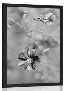 Plakat kwiaty w czerni i bieli